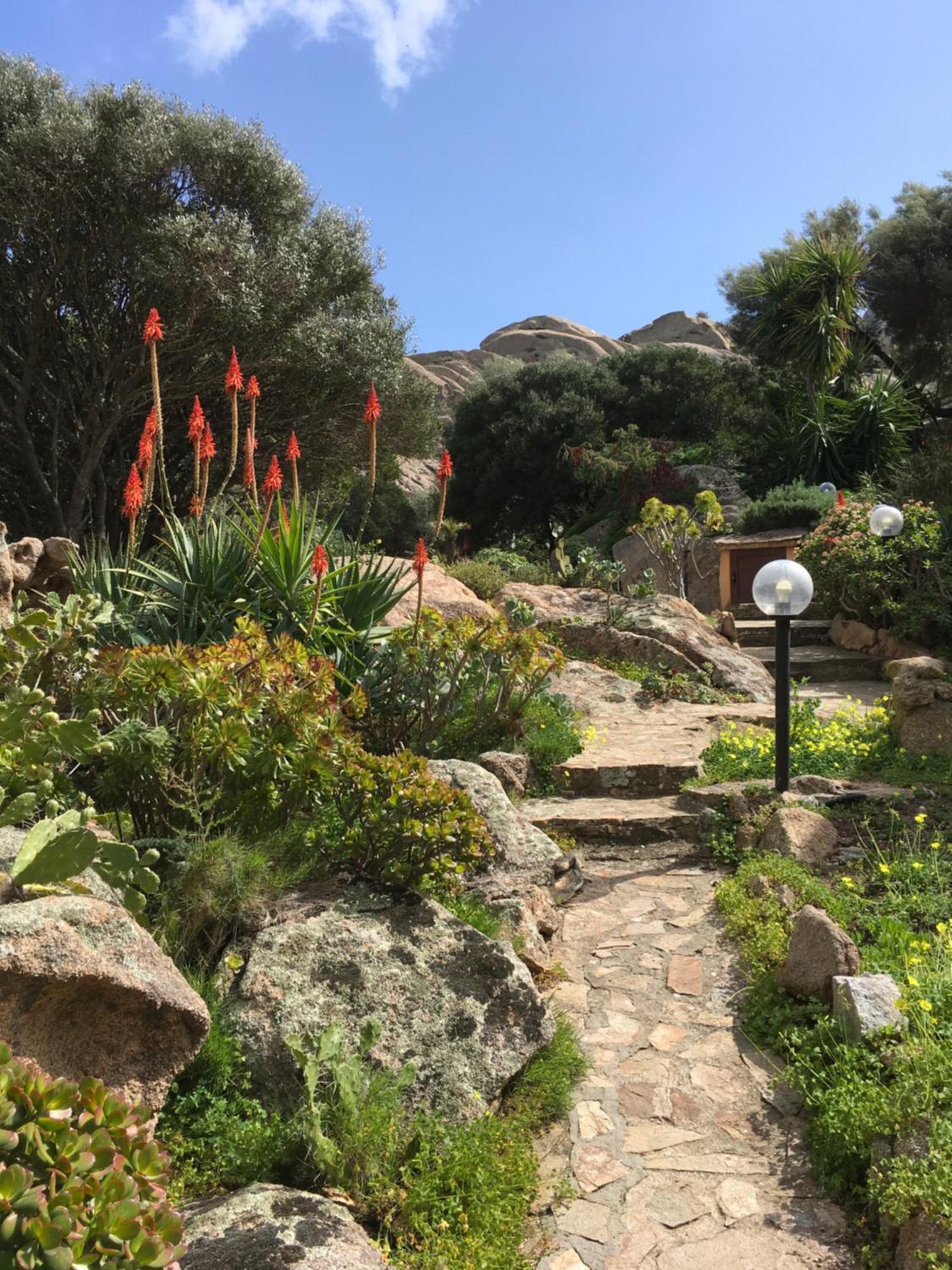 L'Olivastro Appartamenti A Porto Cervo Luaran gambar