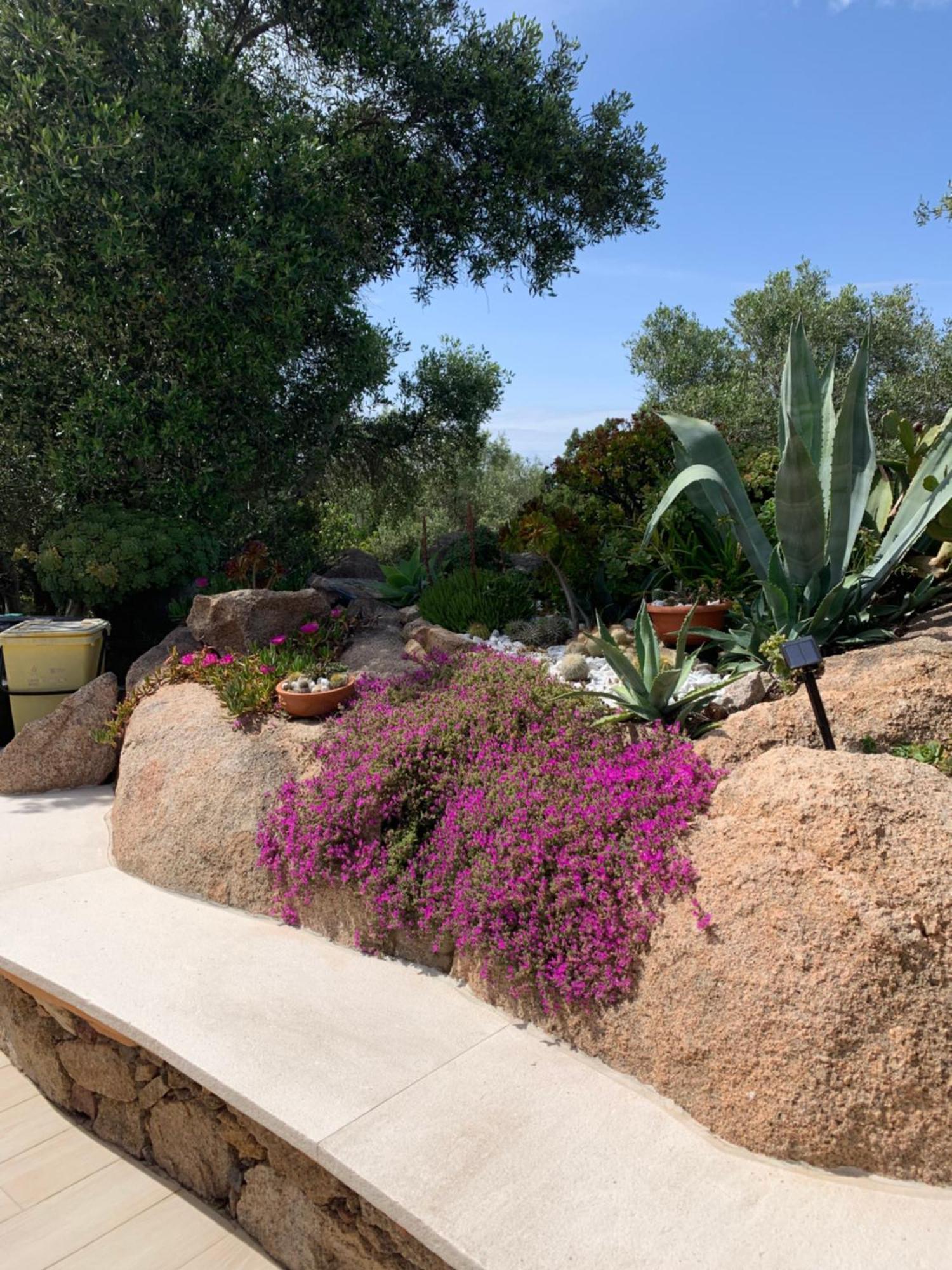L'Olivastro Appartamenti A Porto Cervo Luaran gambar